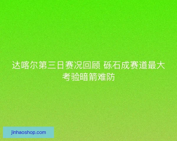 达喀尔第三日赛况回顾 砾石成赛道最大考验暗箭难防