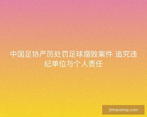 中国足协严厉处罚足球腐败案件 追究违纪单位与个人责任