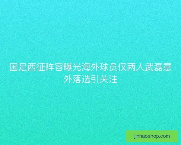 国足西征阵容曝光海外球员仅两人武磊意外落选引关注